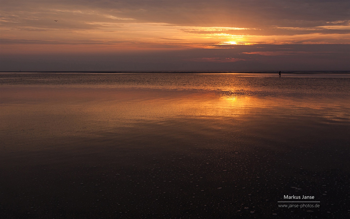 Spiekeroog 施皮克奧格島風景，Windows 8 主題壁紙 #5 - 1440x900