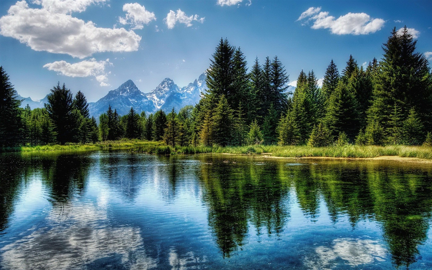 Réflexion dans le fond d'un paysage naturel de l'eau #17 - 1440x900