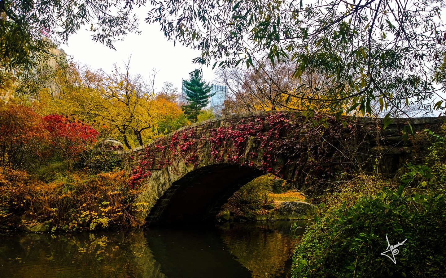 New York cityscapes, Microsoft Windows 8 HD wallpapers #17 - 1440x900