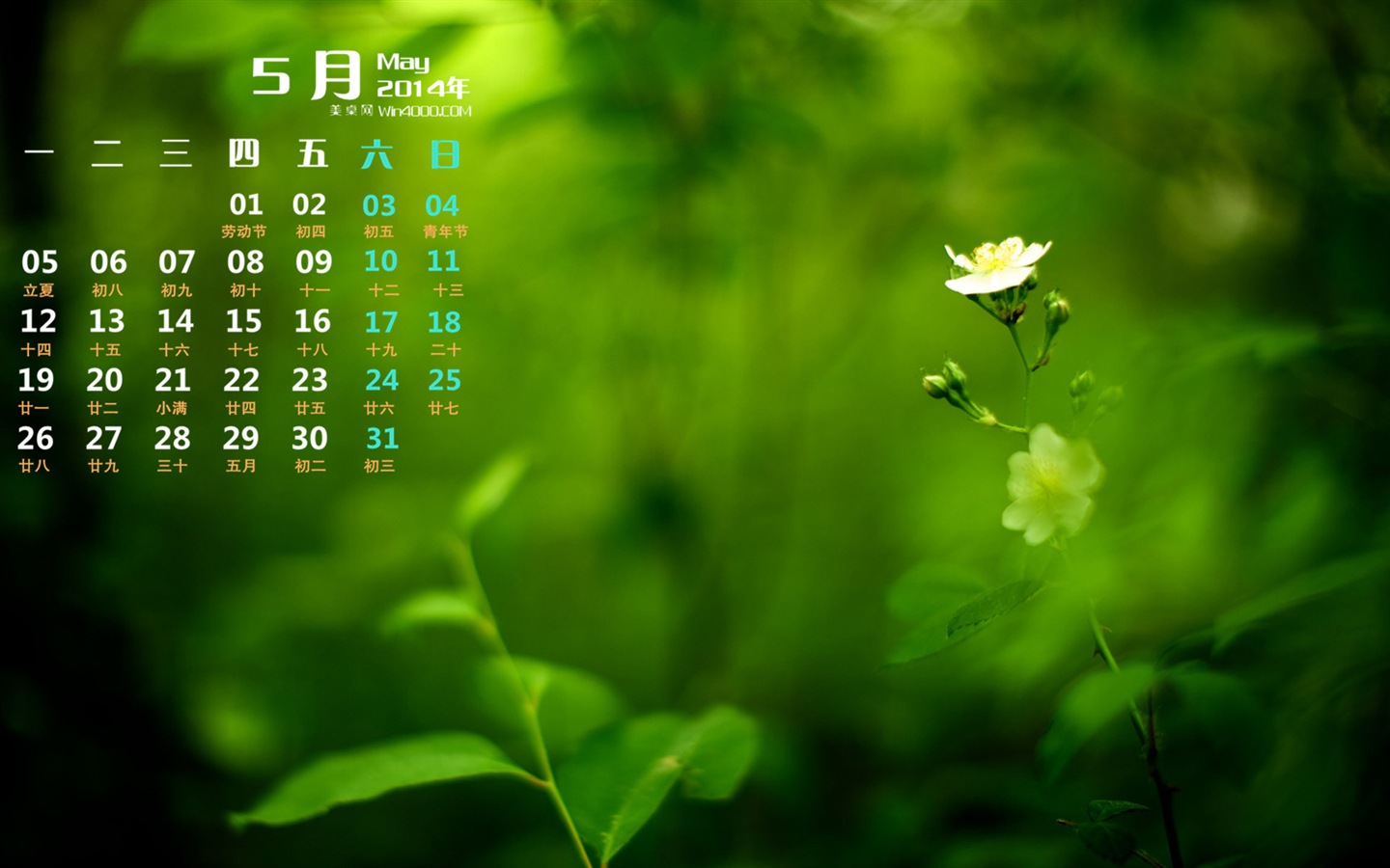 2014年5月 月历壁纸(一)4 - 1440x900