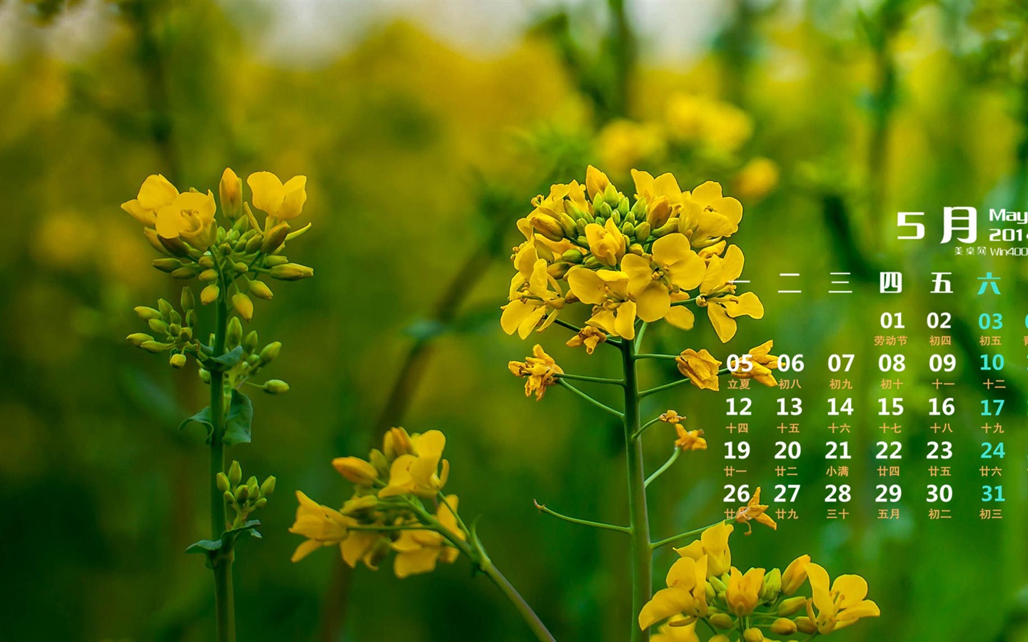 2014年5月 月曆壁紙(一) #5 - 1440x900