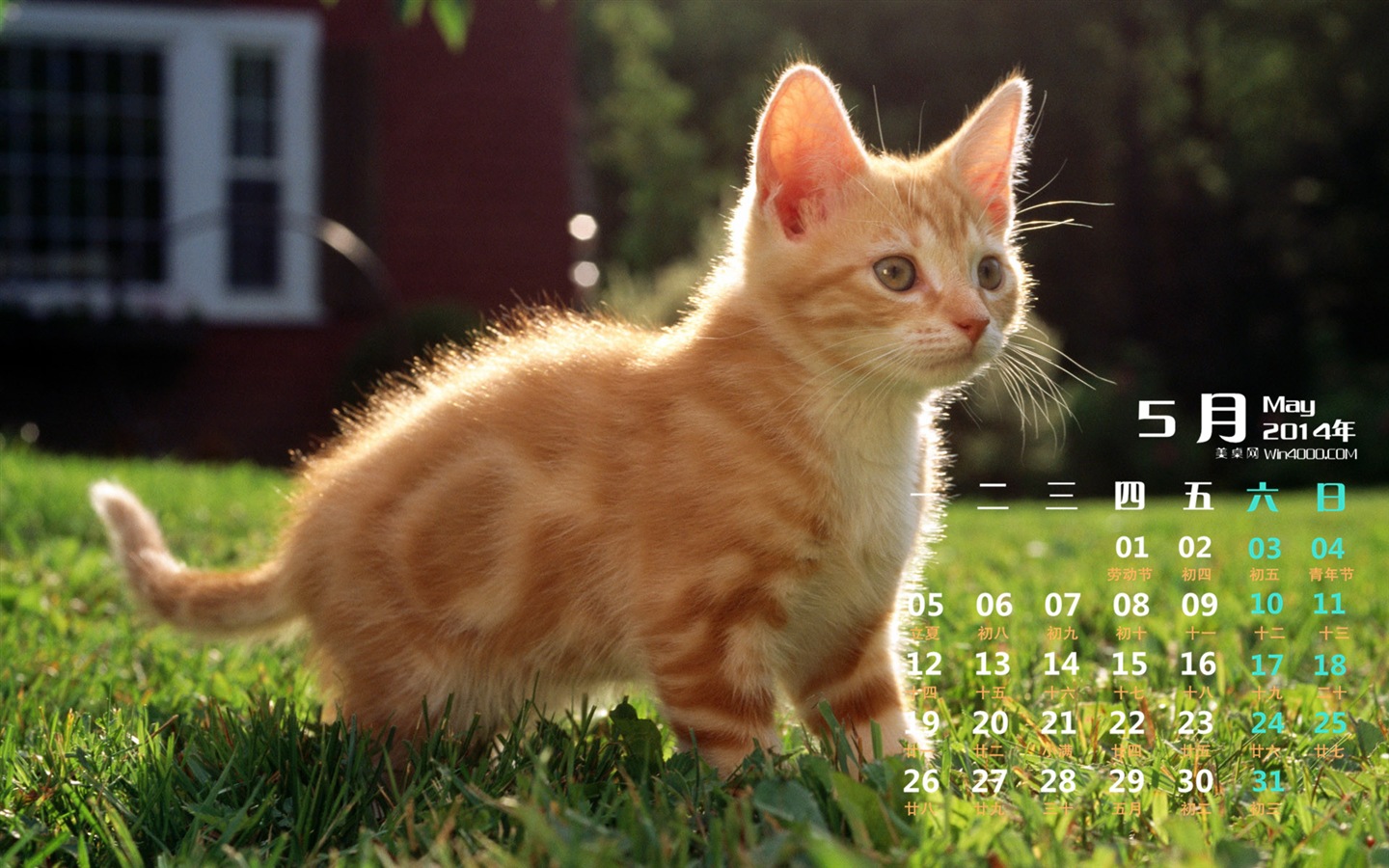 2014年5月 月曆壁紙(一) #14 - 1440x900