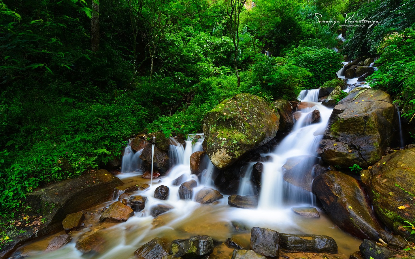 Estilo de paisaje Sri Lanka, Windows 8 tema fondos de pantalla #9 - 1440x900