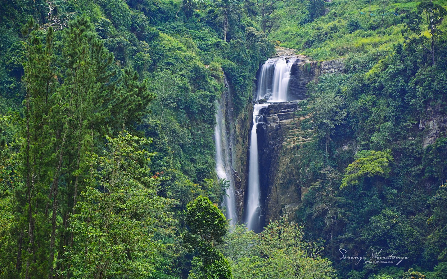 Sri Lanka style de paysage, Windows 8 fonds d'écran thématiques #13 - 1440x900