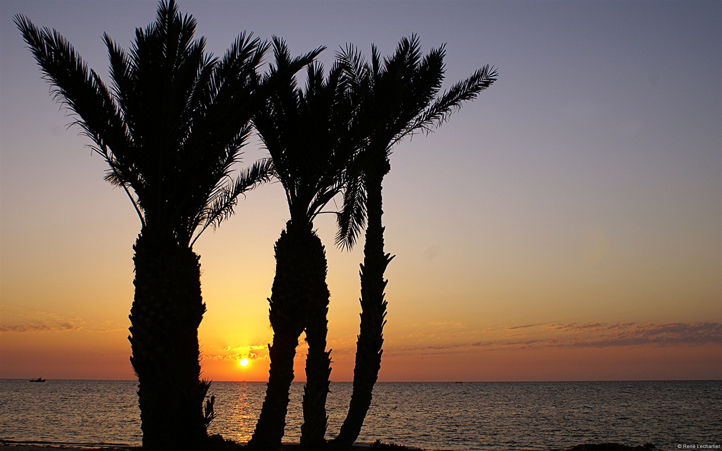 Water, the source of life, Windows 8 theme HD wallpapers #11 - 1440x900