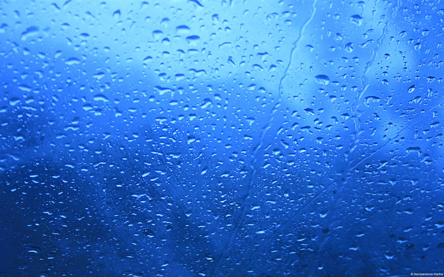 물, 생명의 근원, 윈도우 8 테마의 HD 배경 화면 #13 - 1440x900
