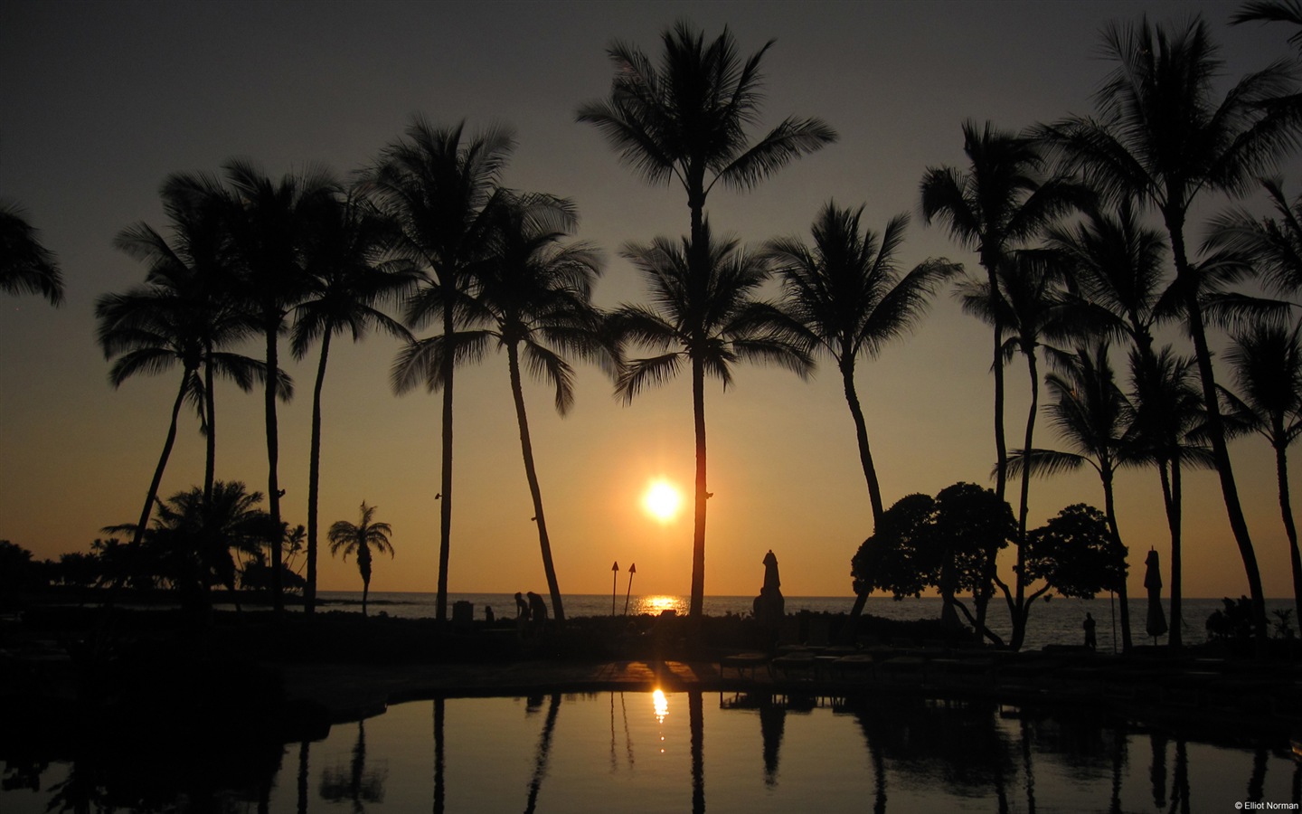 Water, the source of life, Windows 8 theme HD wallpapers #18 - 1440x900
