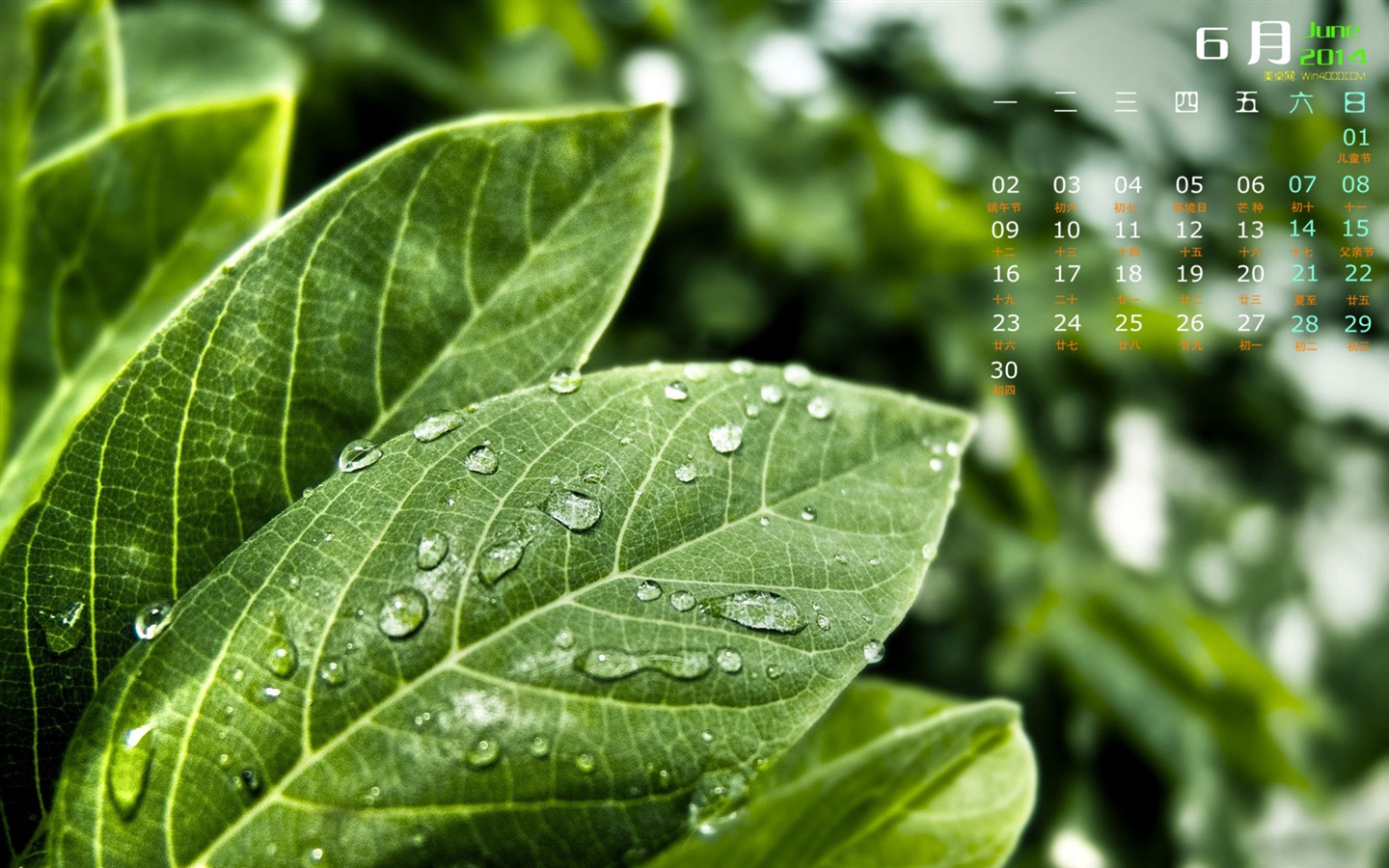 2014年6月 月曆壁紙(一) #4 - 1440x900