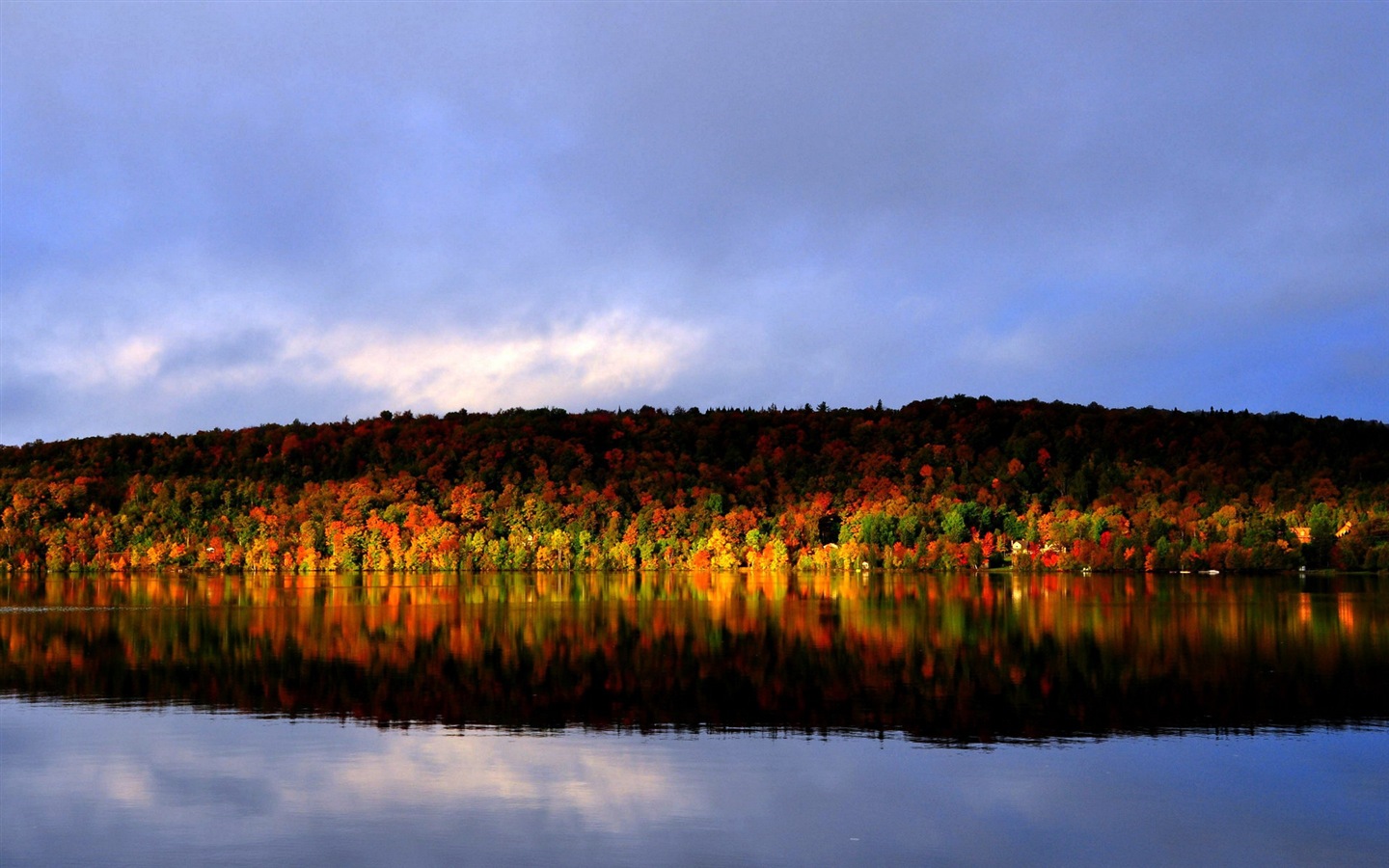 Voda a stromy v podzimních HD tapety na plochu #3 - 1440x900