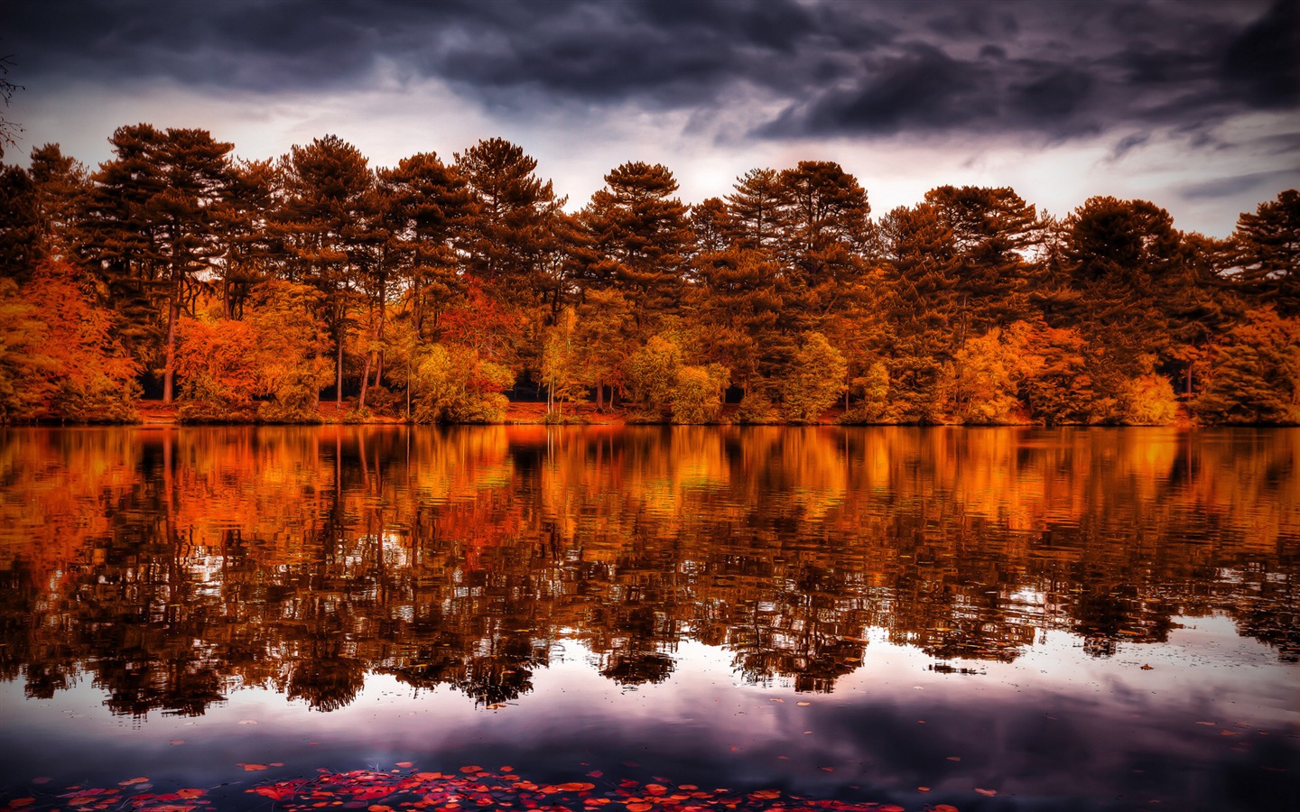 Voda a stromy v podzimních HD tapety na plochu #13 - 1440x900