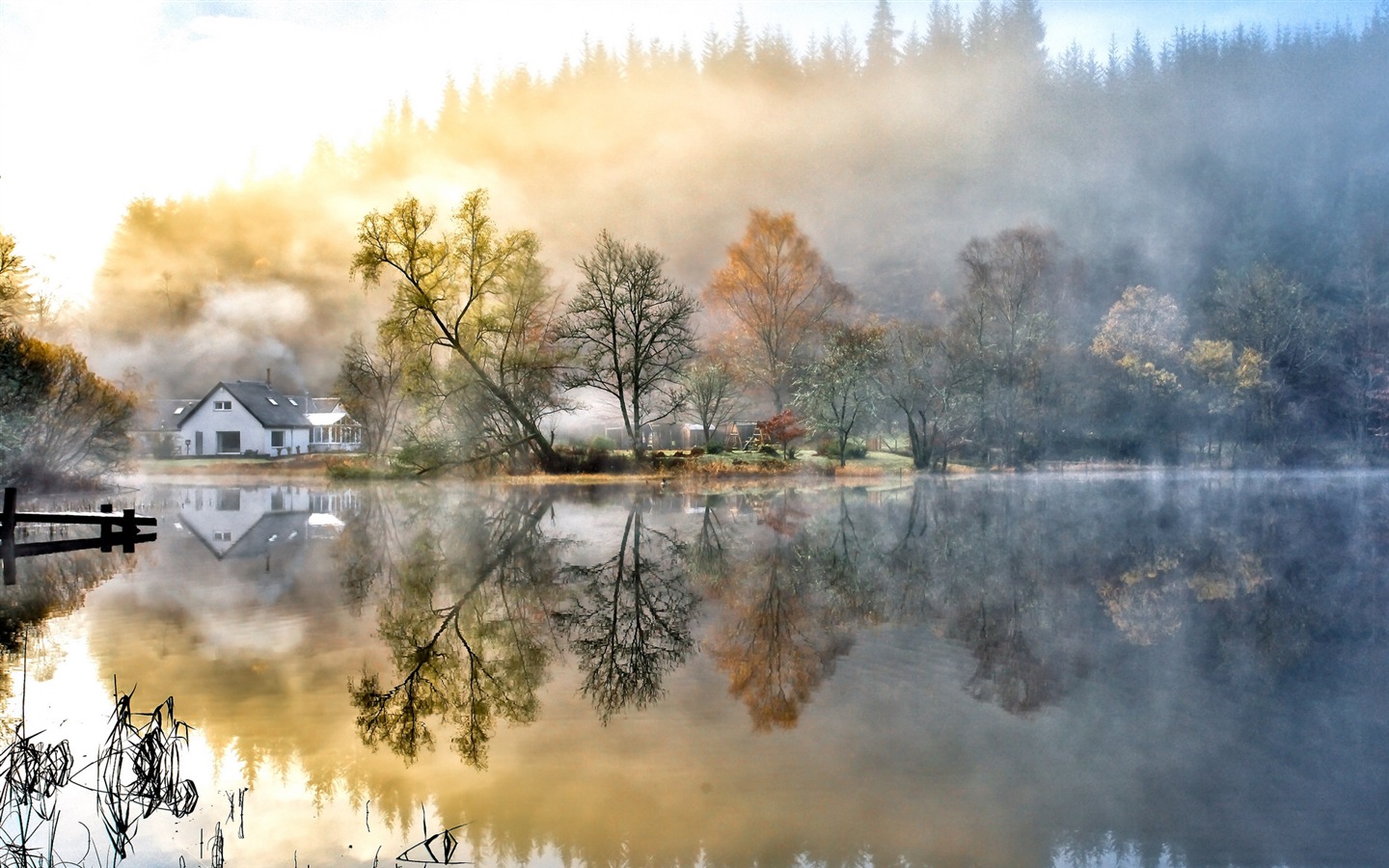 霧的秋天，紅葉樹木，高清壁紙 #5 - 1440x900