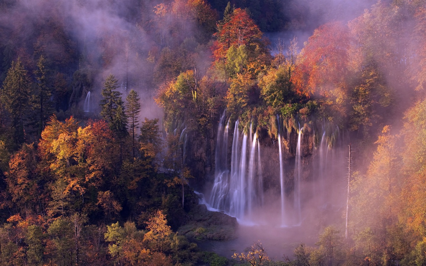 Feuilles et des arbres fonds d'écran HD automne brumeux #11 - 1440x900