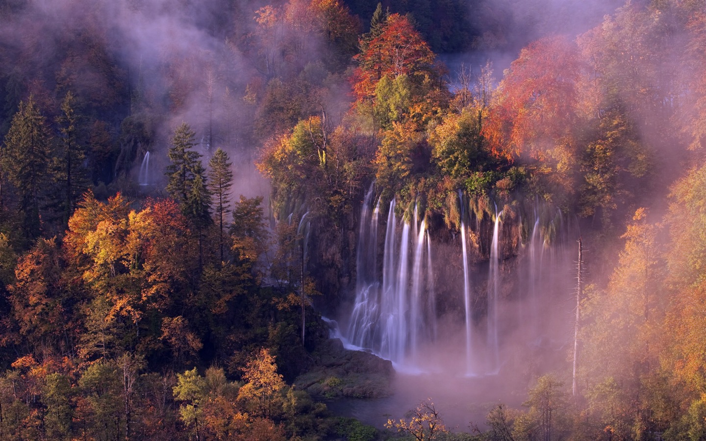 霧的秋天，紅葉樹木，高清壁紙 #11 - 1440x900