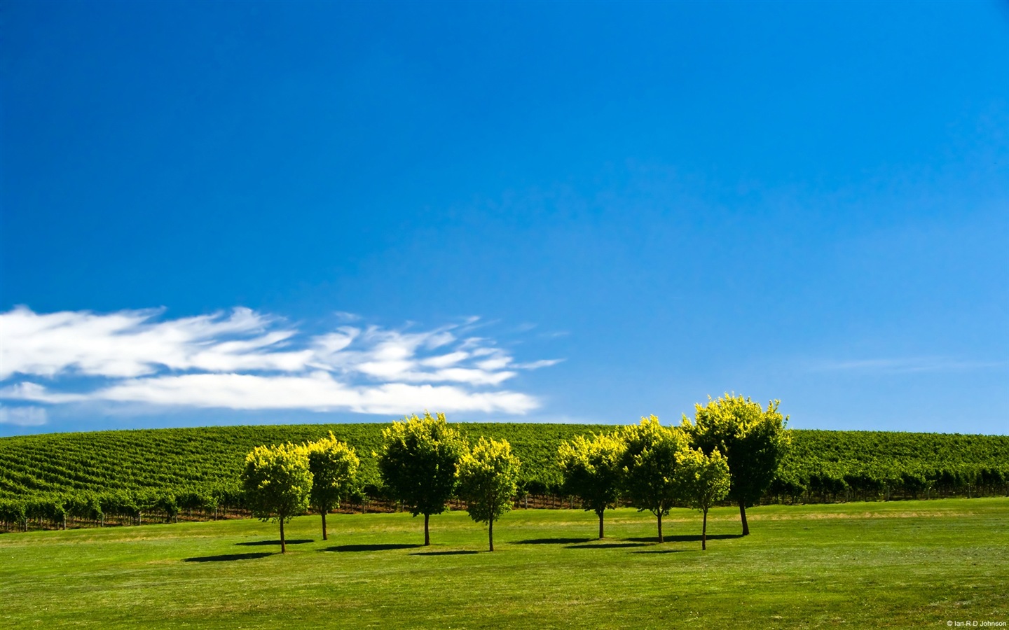 寧靜的夏天，Windows 8 高清主題壁紙 #12 - 1440x900