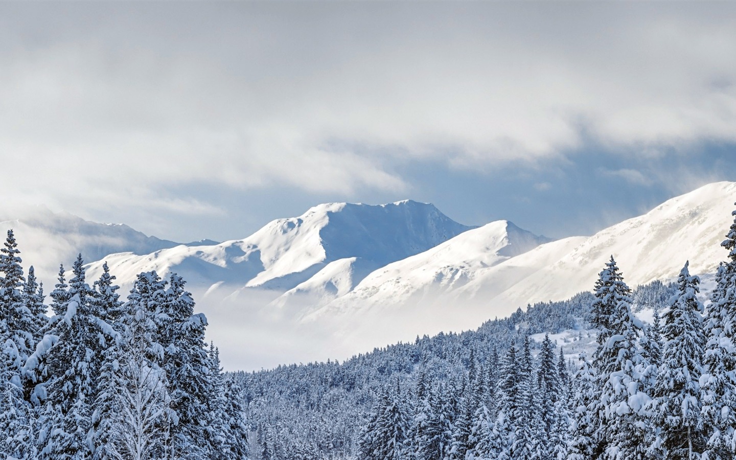 Belle neige froide d'hiver, de Windows 8 fonds d'écran widescreen panoramique #9 - 1440x900