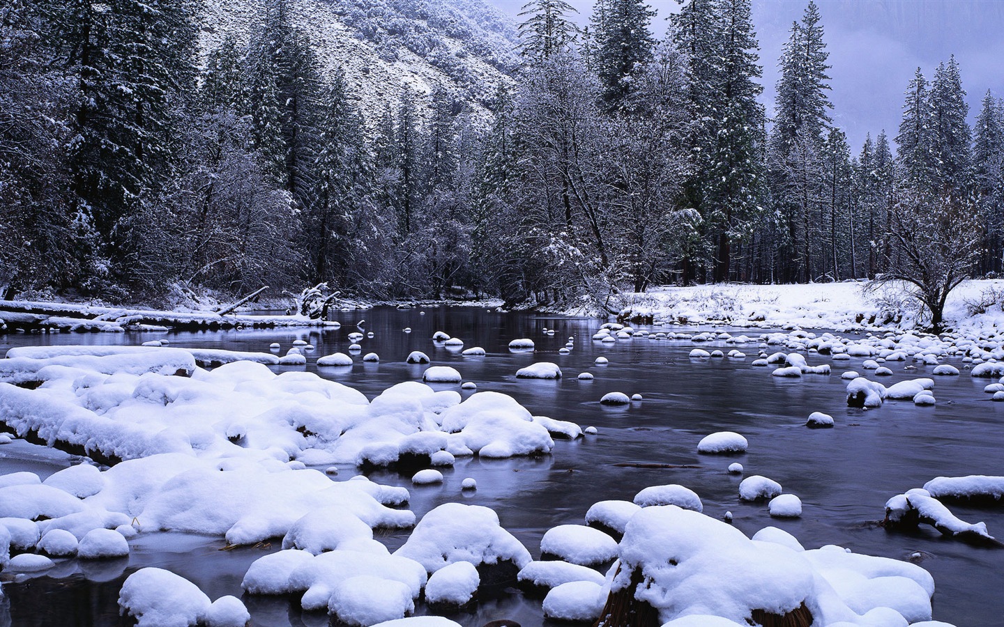 寒冷冬天美麗的雪景，Windows 8 全景寬屏壁紙 #10 - 1440x900