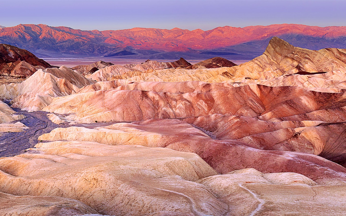 뜨겁고 건조한 사막, 윈도우 8 파노라마 와이드 스크린 배경 화면 #10 - 1440x900
