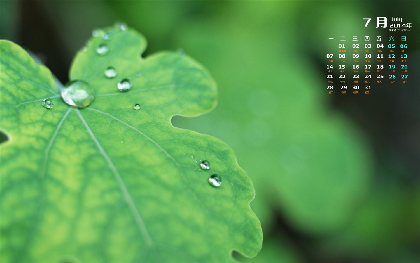 2014年7月 月曆壁紙(一) #20 - 1440x900