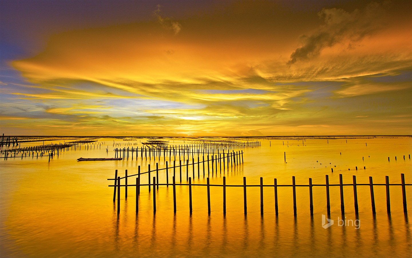 2014年 6月Bing 官方壁紙 精選 #8 - 1440x900