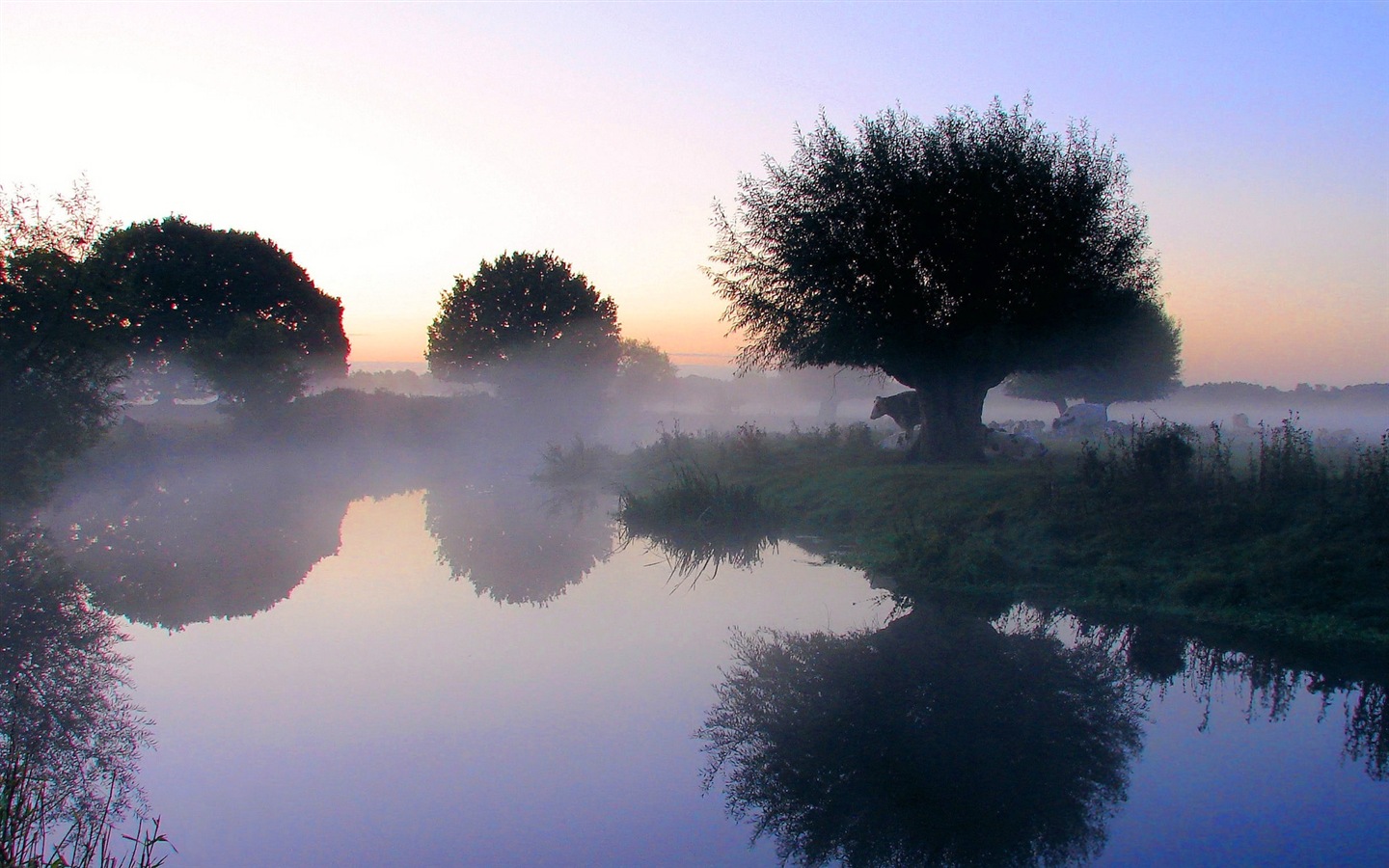 Paysage brumeux matin, Windows 8 écran thème #4 - 1440x900