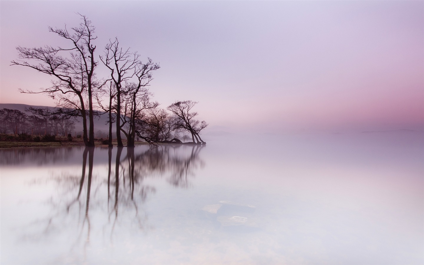 Misty Morgen Landschaft, Windows 8 Theme Wallpaper #6 - 1440x900