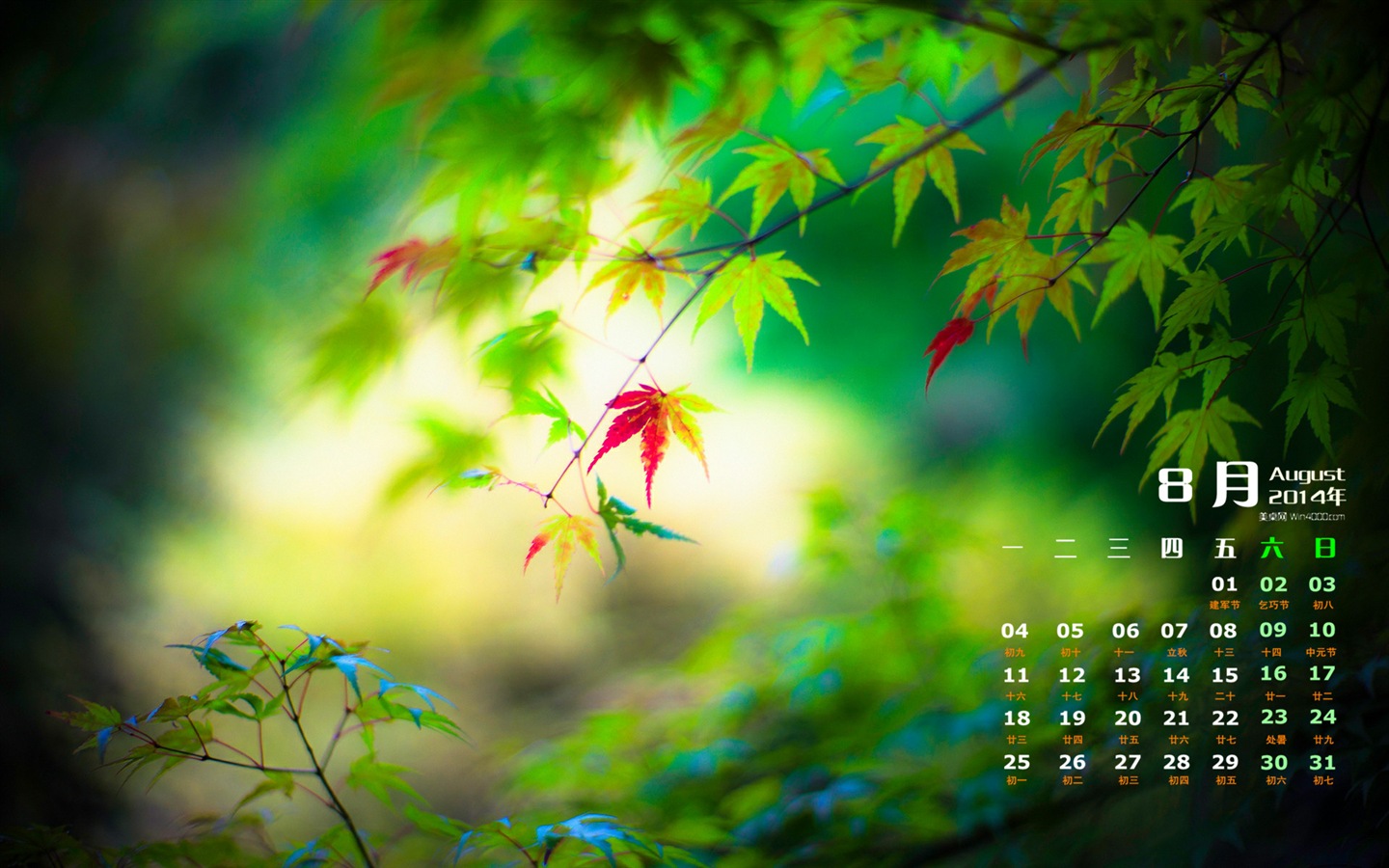 August 2014 Kalender Wallpaper (1) #8 - 1440x900