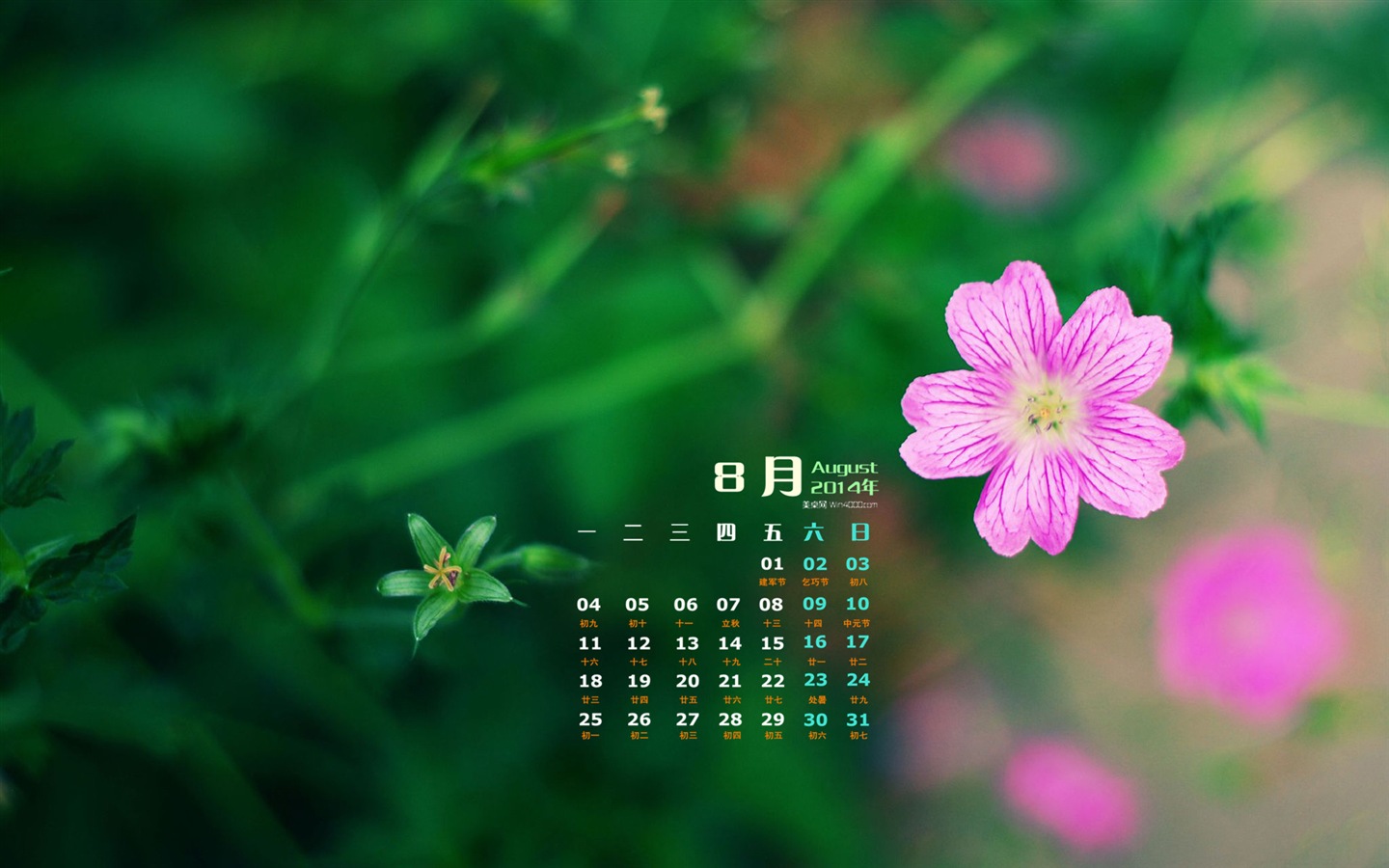 August 2014 Kalender Wallpaper (1) #10 - 1440x900