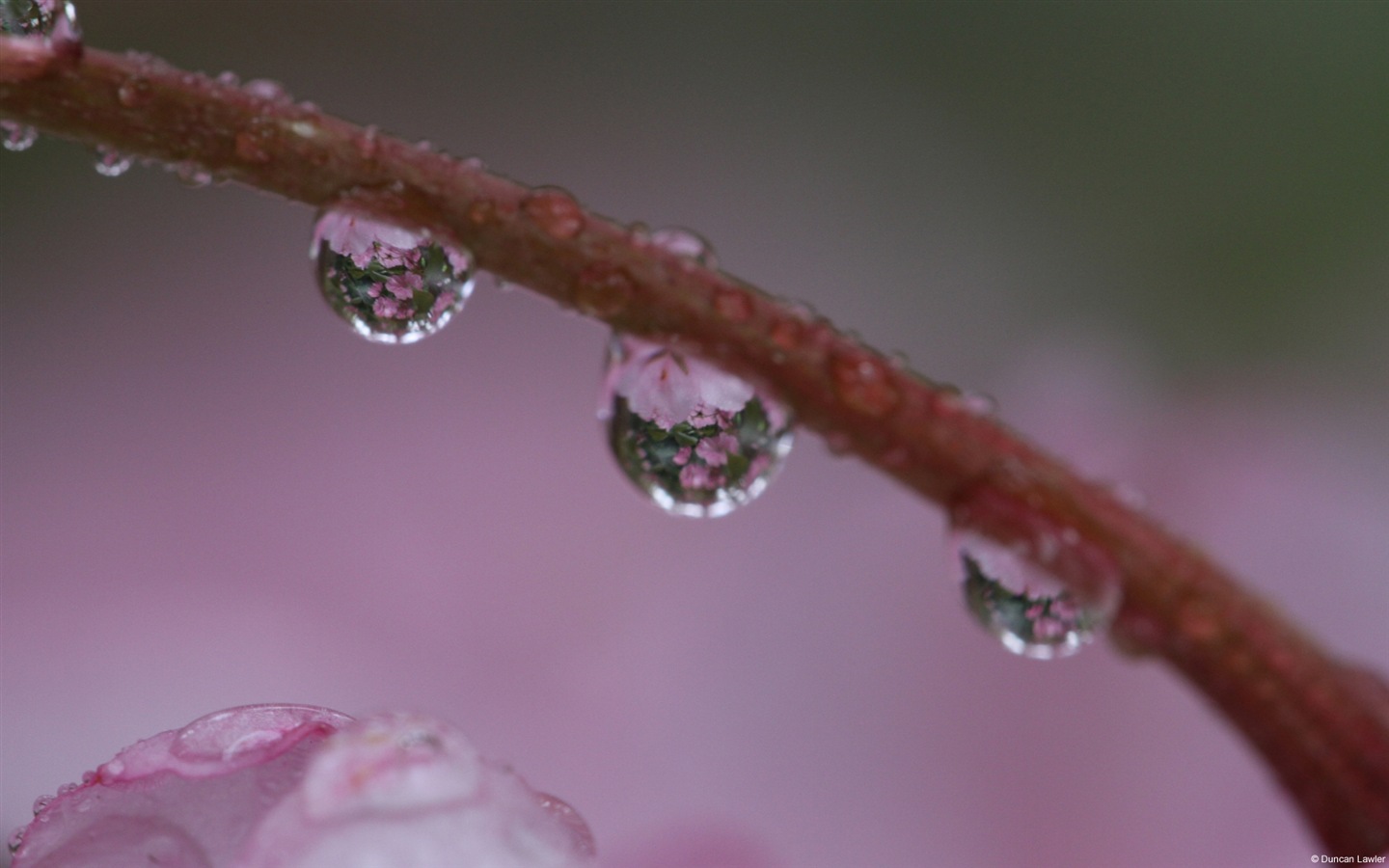 Thème de l'eau, de Windows 8 fonds d'écran HD #19 - 1440x900