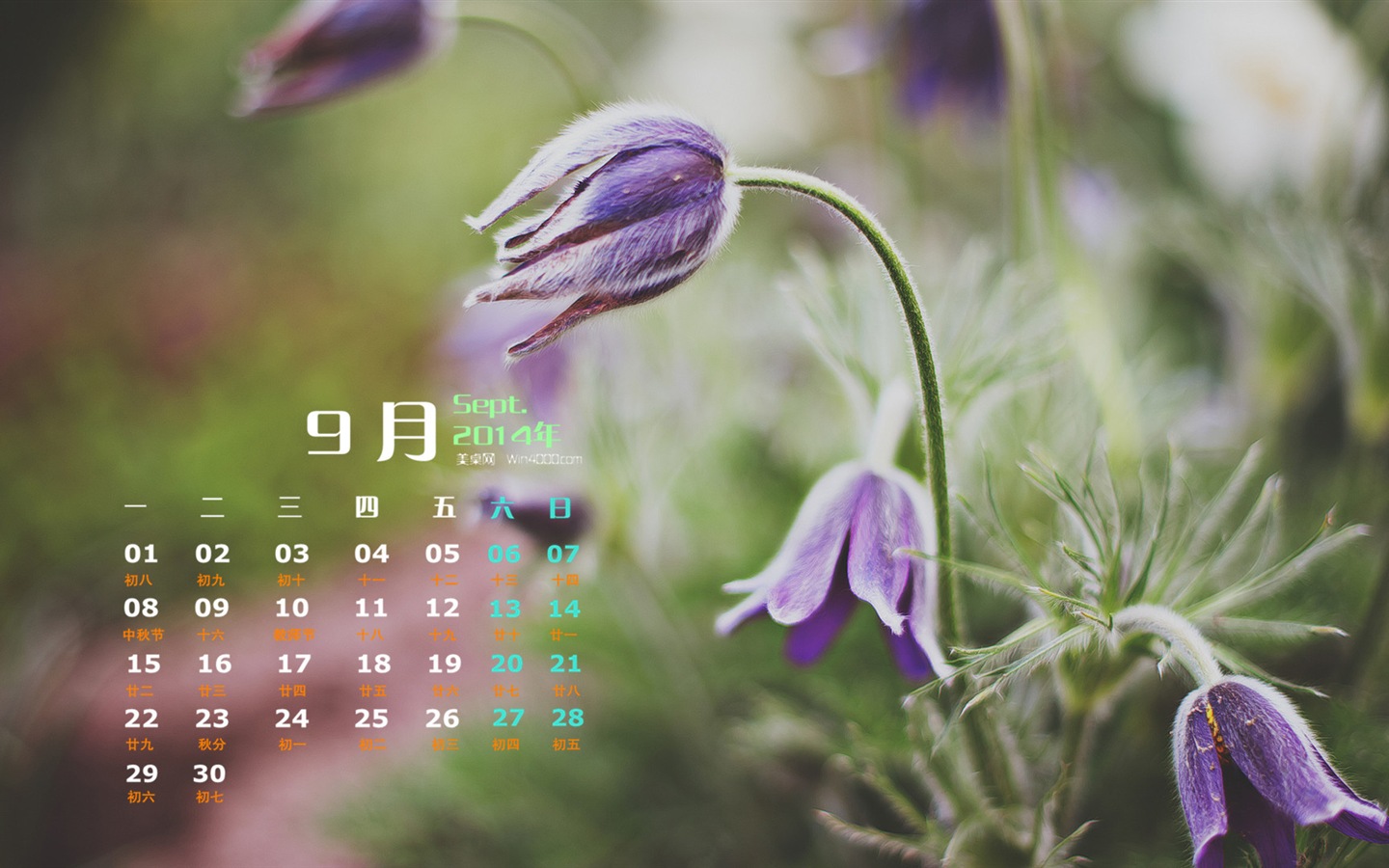 September 2014 Calendar wallpaper (1) #17 - 1440x900