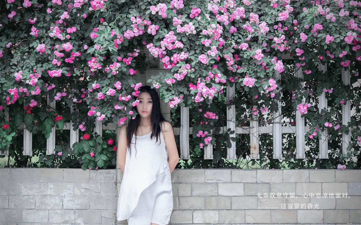 Hermosa chica con fondos de pantalla de alta definición de flores rosas #7 - 1440x900