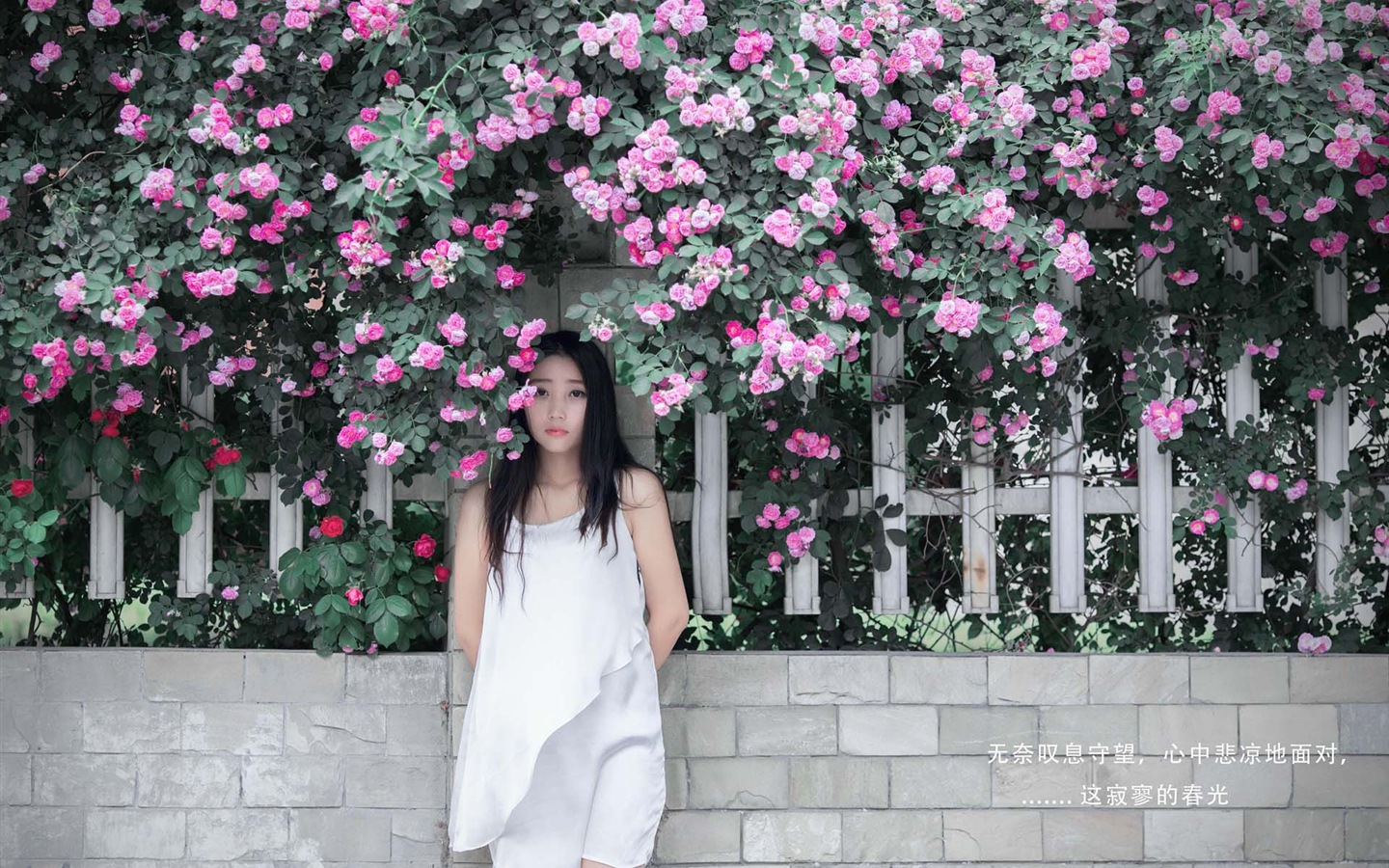 美麗的女孩與玫瑰鮮花 高清壁紙 #7 - 1440x900