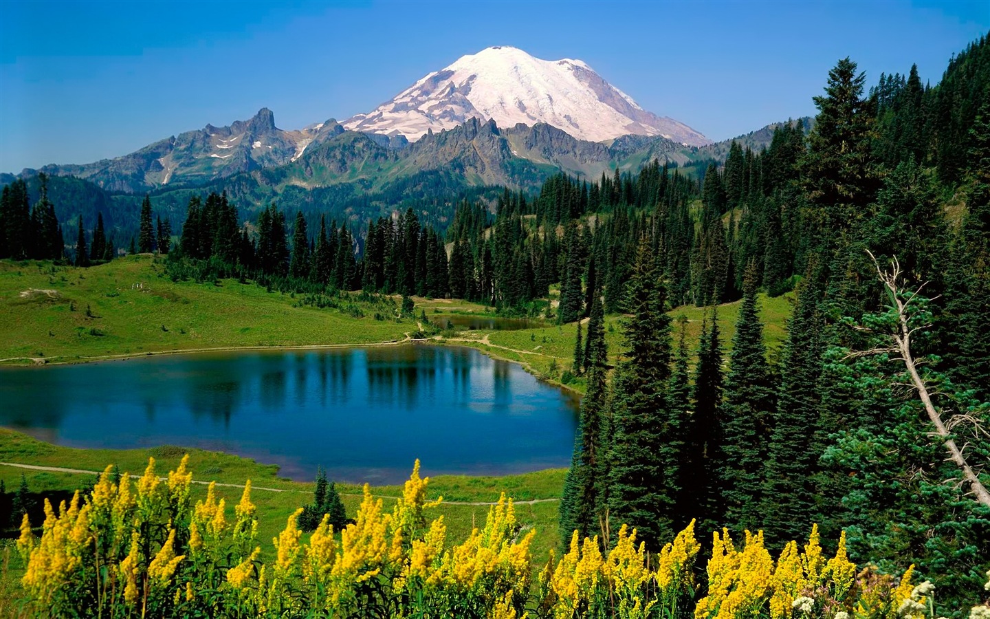 Sunshine lesní jezera krása přírody HD tapetu #3 - 1440x900