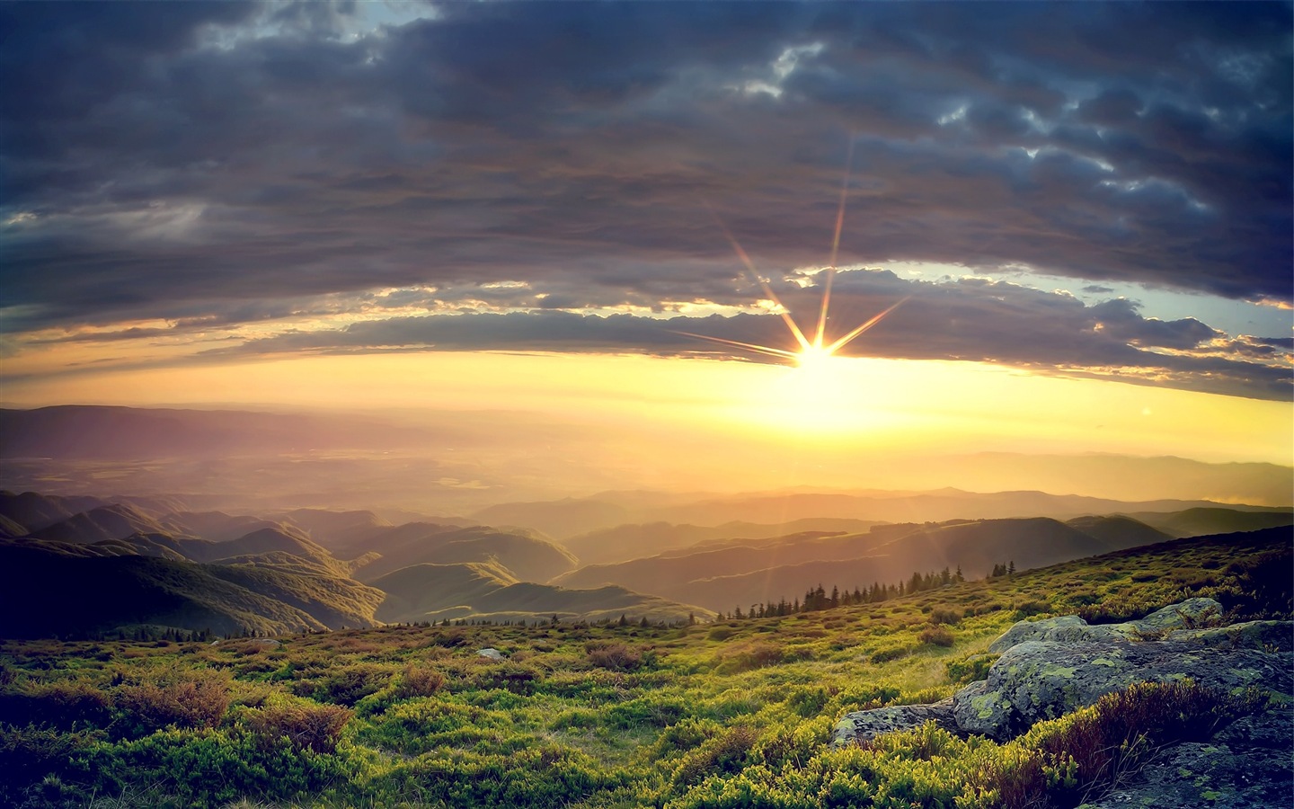 Sunshine lesní jezera krása přírody HD tapetu #4 - 1440x900