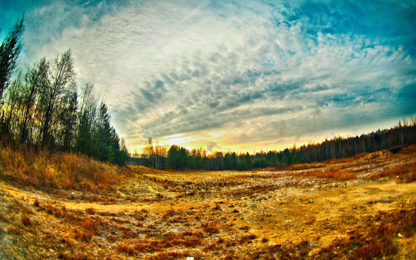 Soleil lacs de la forêt beauté de la nature d'écran HD #8 - 1440x900