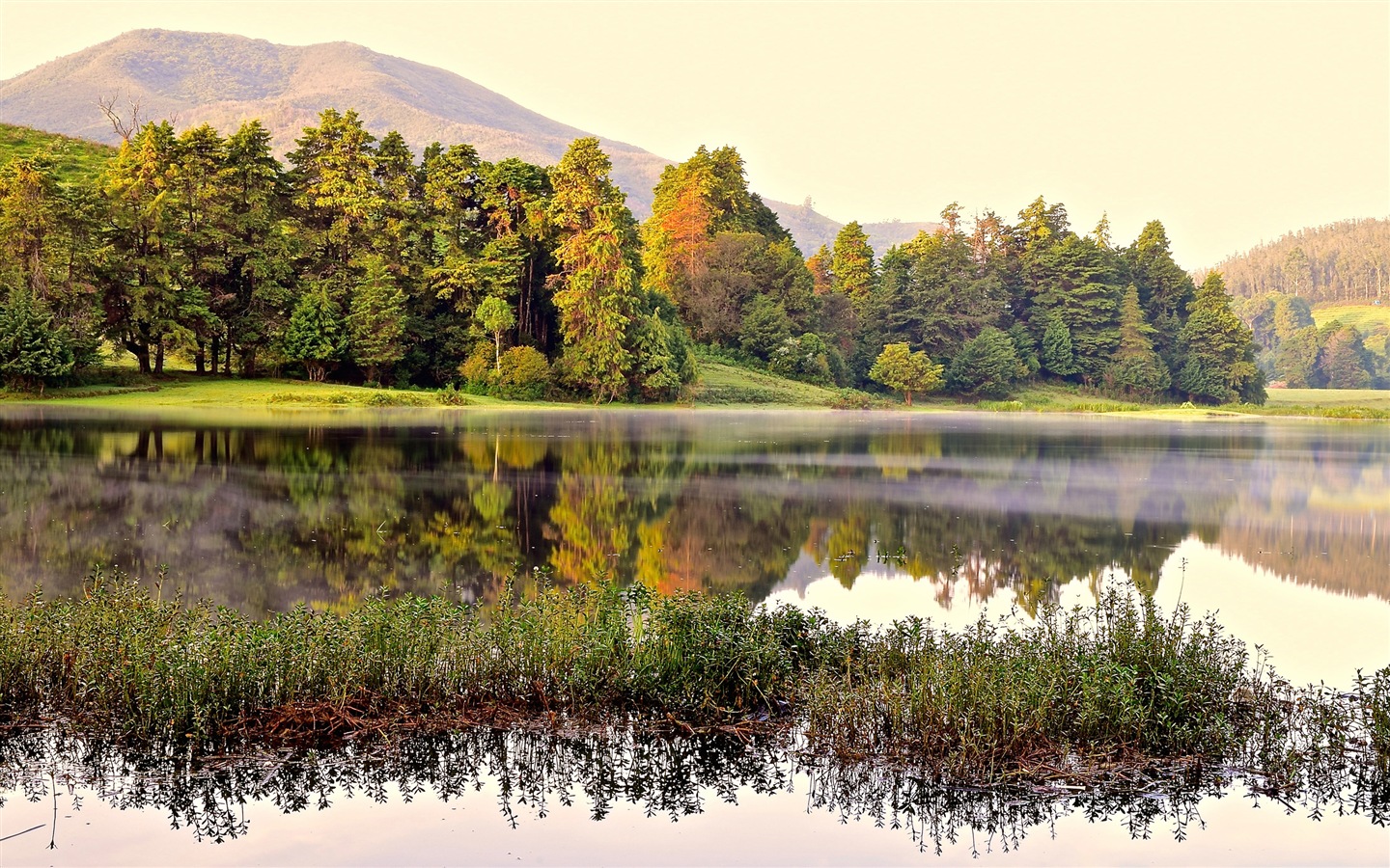 Sunshine lesní jezera krása přírody HD tapetu #14 - 1440x900