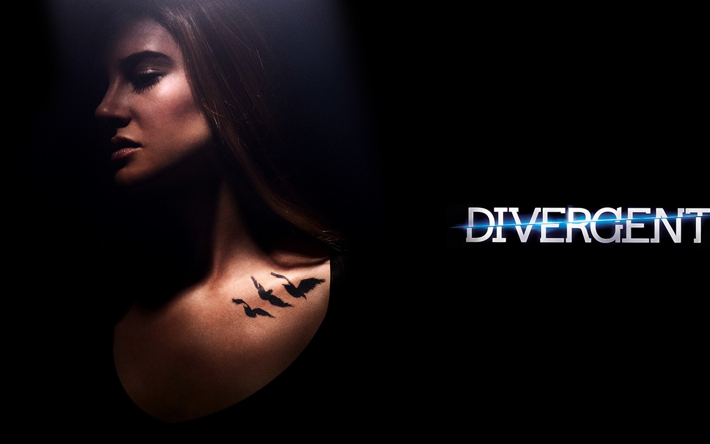 Divergentes fonds d'écran film HD #7 - 1440x900