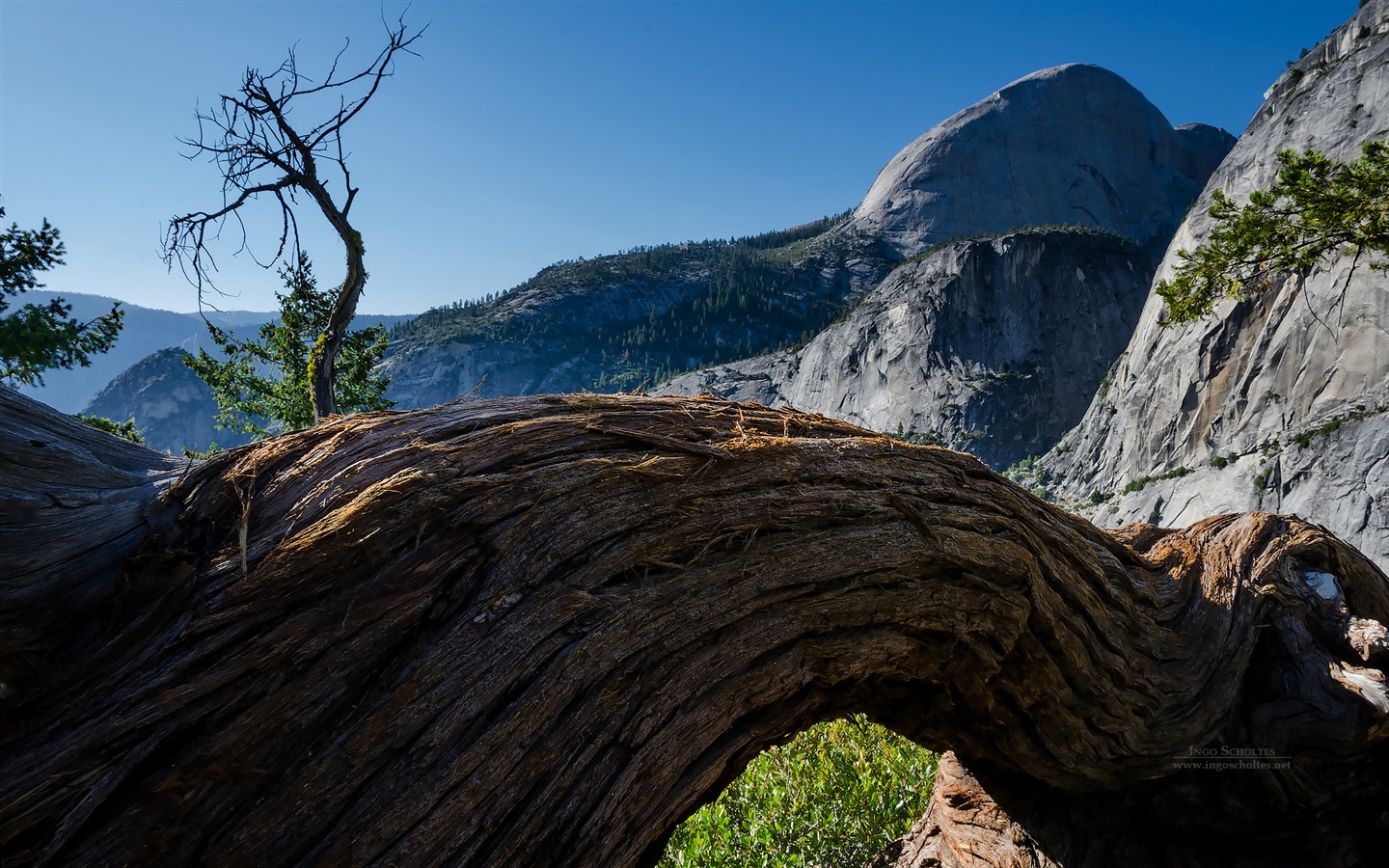 Windows 8 téma, Národní park Yosemite HD tapety na plochu #7 - 1440x900