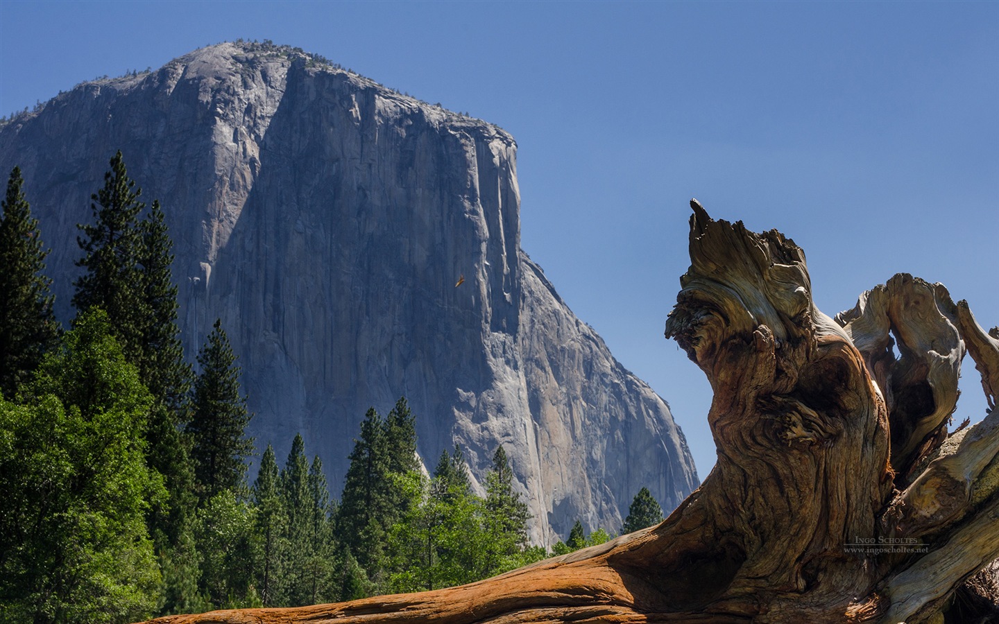 Windows 8 téma, Národní park Yosemite HD tapety na plochu #10 - 1440x900