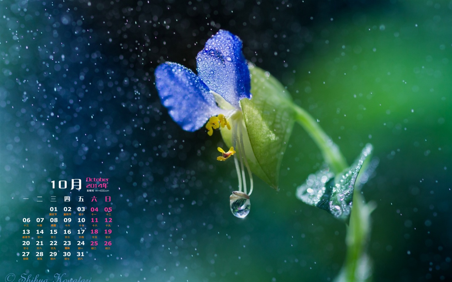 October 2014 Calendar wallpaper (1) #17 - 1440x900