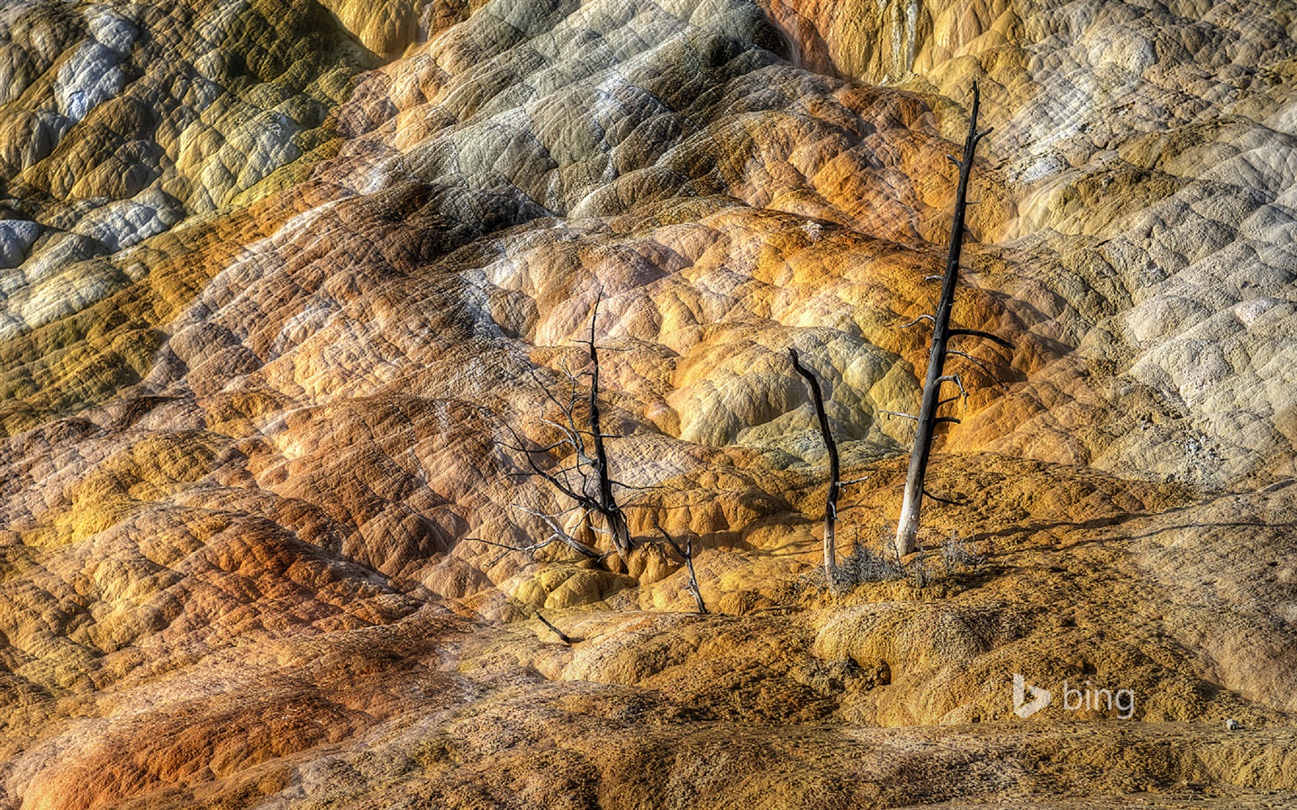 Octobre 2014 Bing fonds d'écran paysages HD #17 - 1440x900