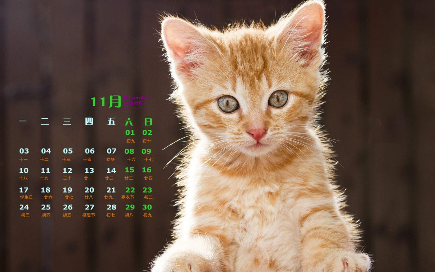 2014년 11월 캘린더 벽지 (1)Novembre Déc 2014 Calendrier fond d'écran (1) #5 - 1440x900