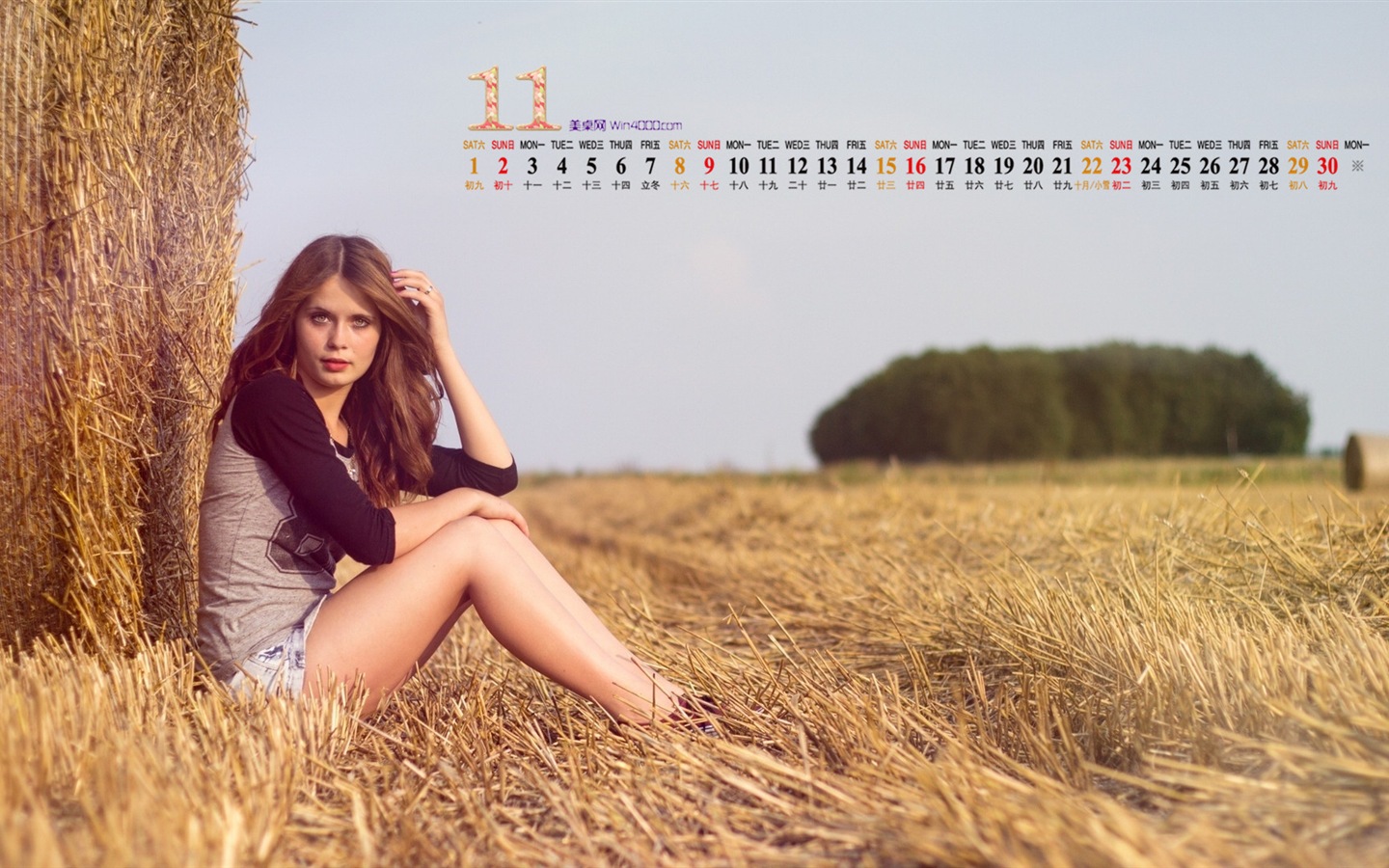2014年11月 月曆壁紙(一) #15 - 1440x900