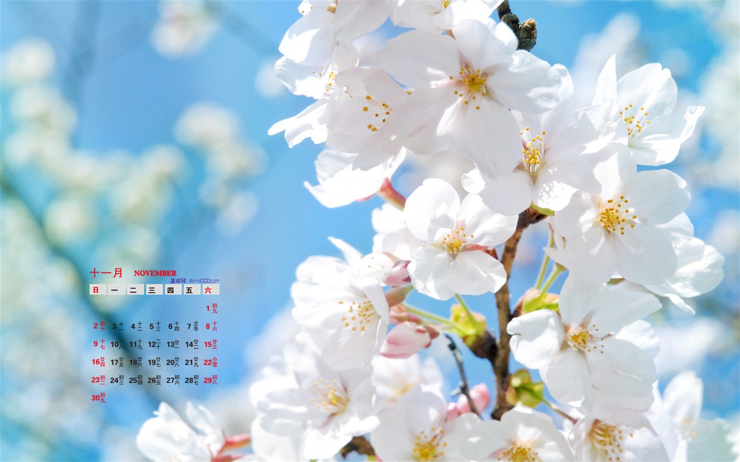 November 2014 Calendar wallpaper(1) #18 - 1440x900