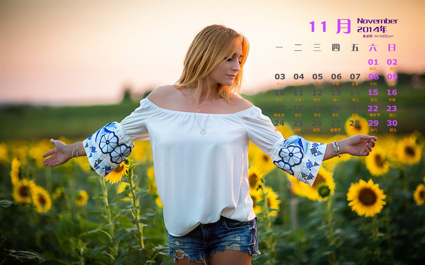 2014年11月 月曆壁紙(二) #3 - 1440x900