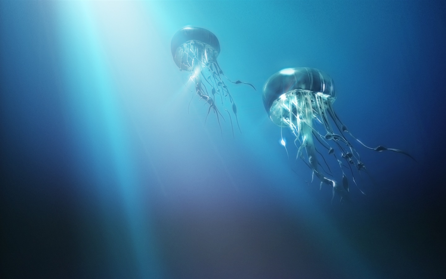 Windows 8 主題壁紙，水母 #15 - 1440x900