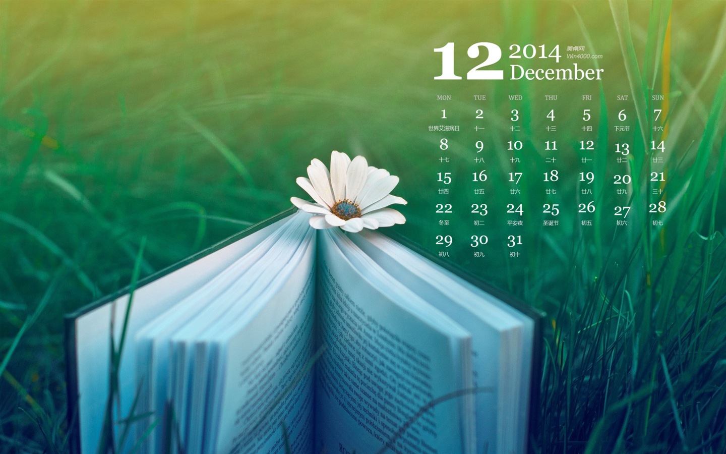 2014年12月 月历壁纸(一)7 - 1440x900
