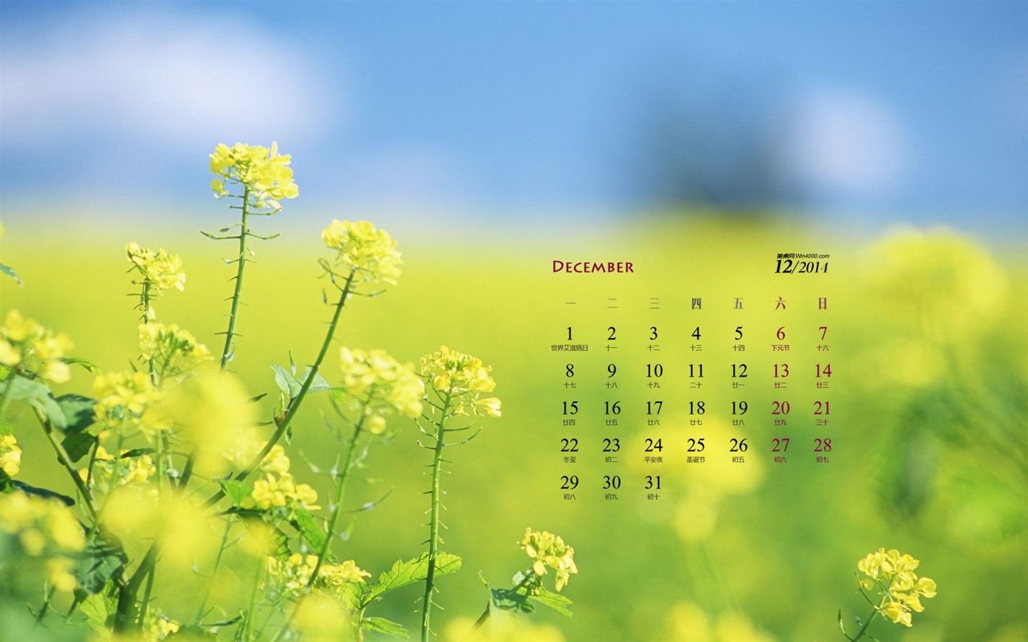2014年12月 月历壁纸(一)8 - 1440x900