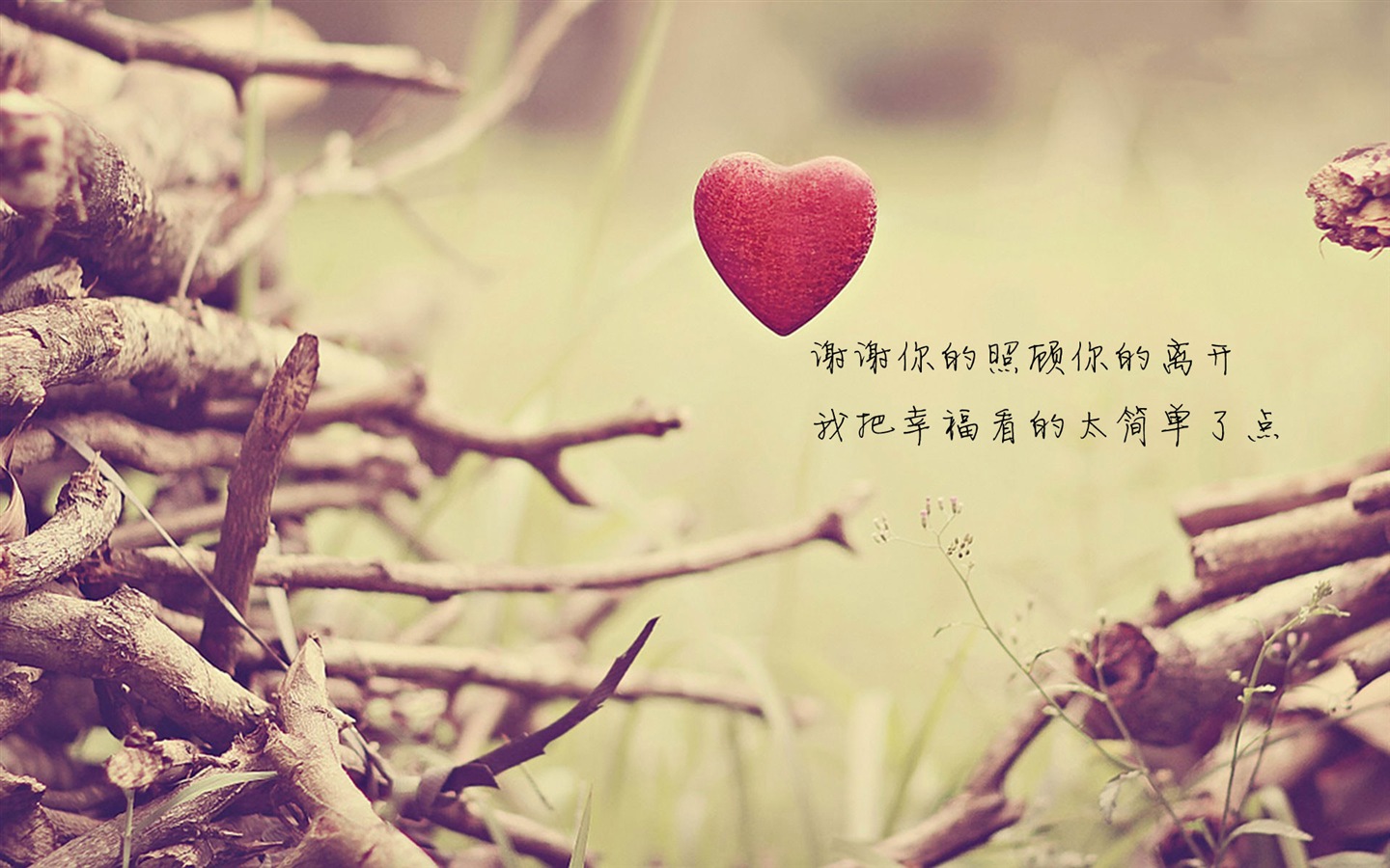 Le thème de l'amour, créatives fonds d'écran HD en forme de coeur #7 - 1440x900