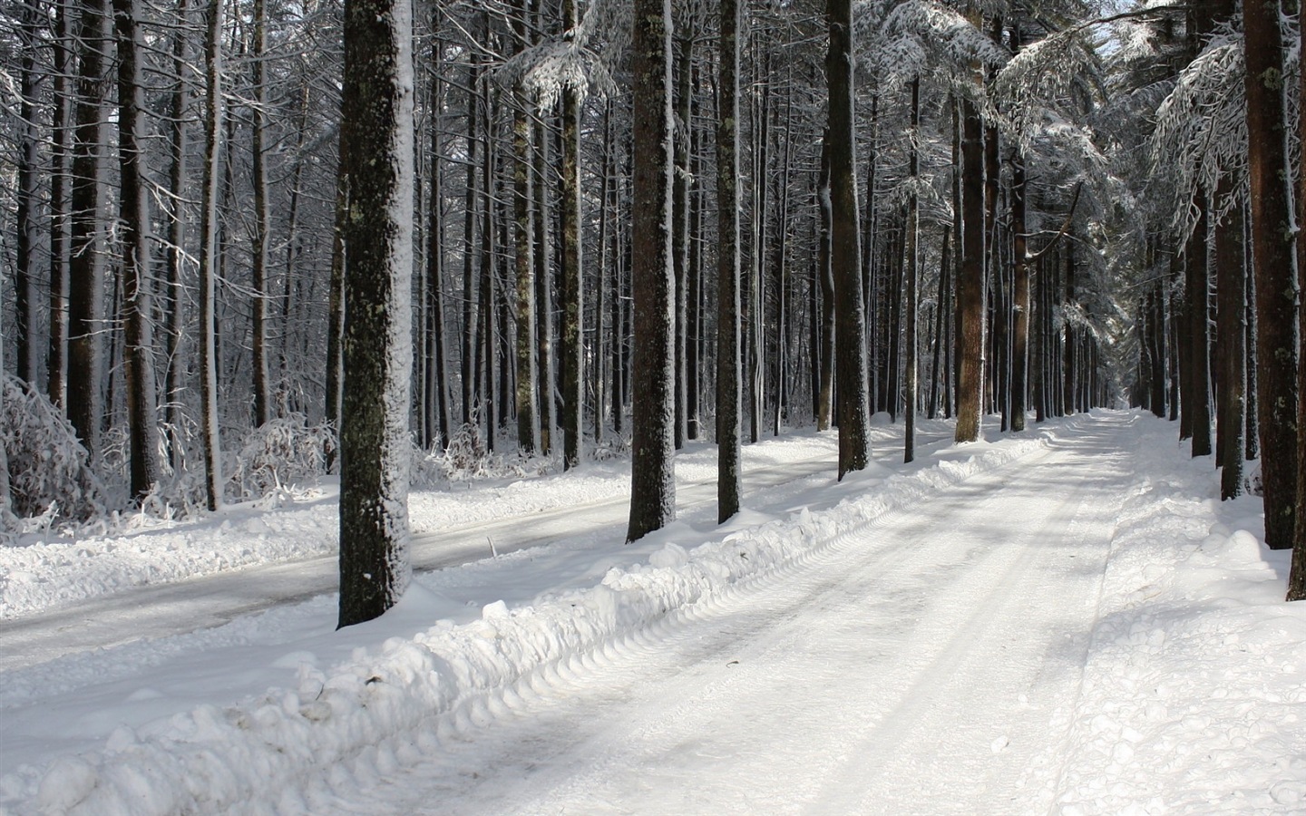 冬天的雪景，山，湖，树木，道路 高清壁纸3 - 1440x900
