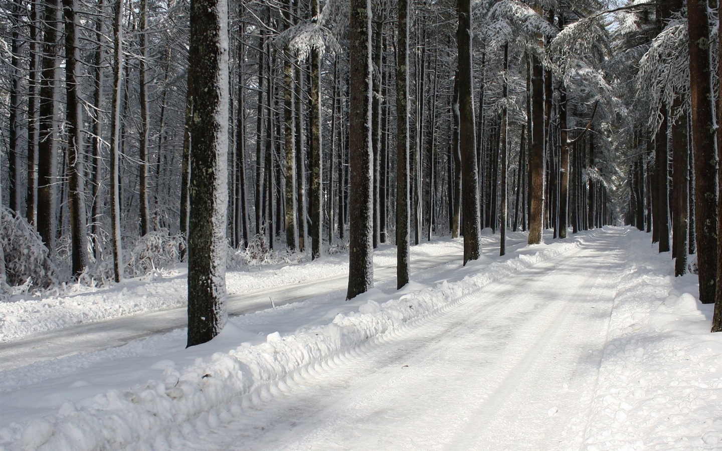 冬天的雪景，山，湖，樹木，道路高清壁紙 #3 - 1440x900